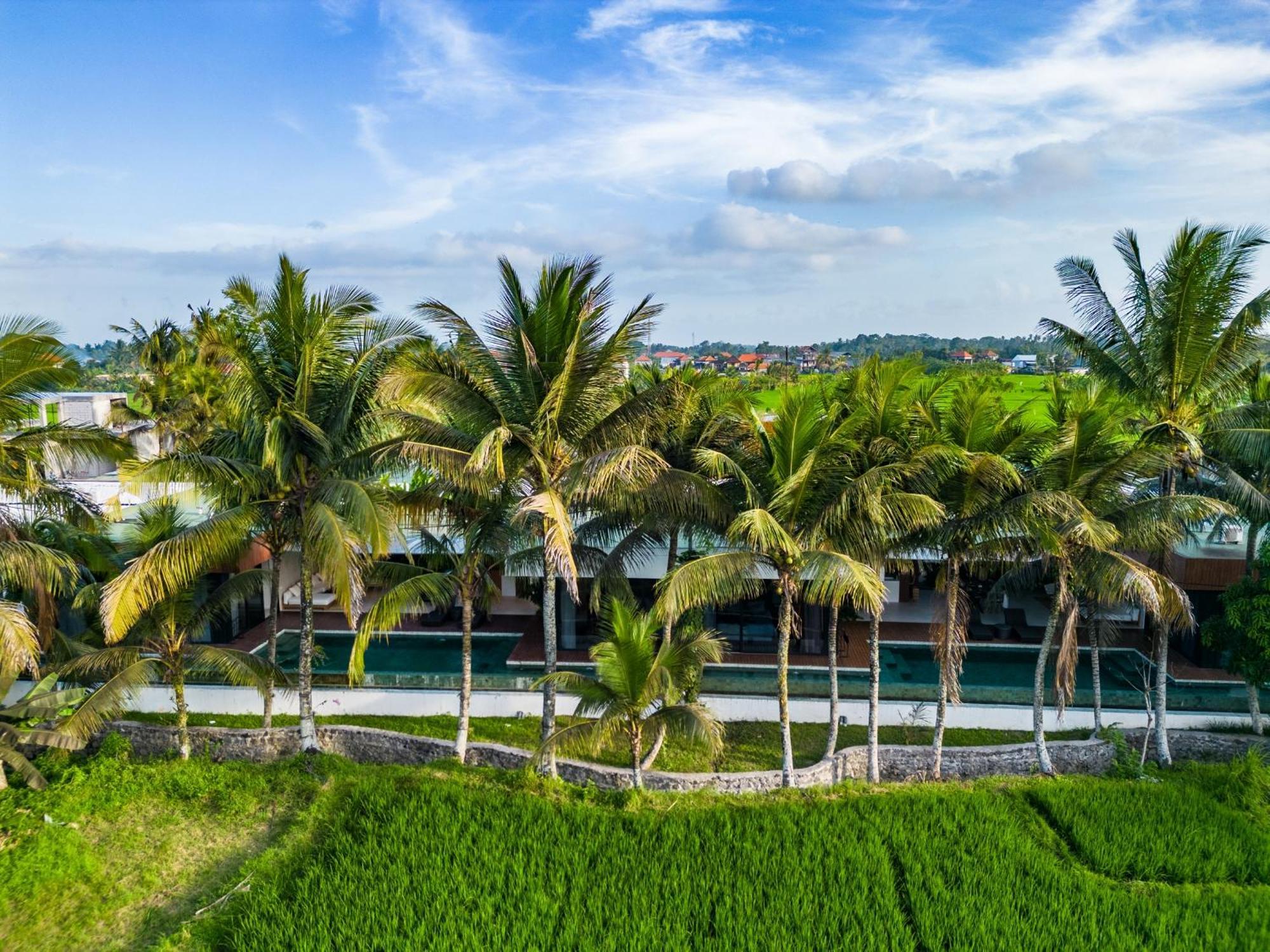 Green Flow Ubud Villa 20 Экстерьер фото